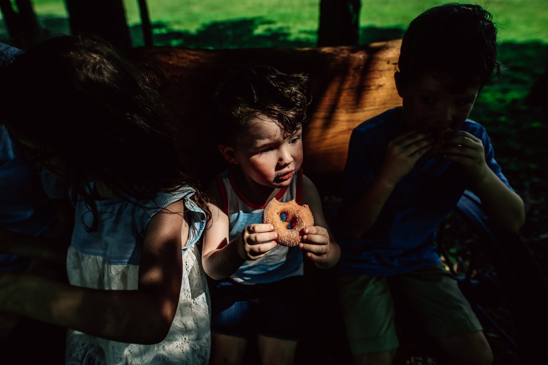 strawberry picking orchard family photography kansas city donuts berry patch