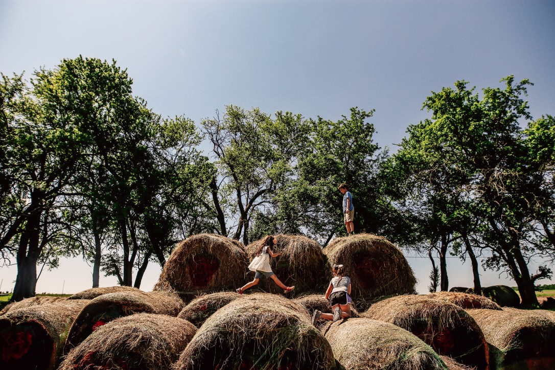 strawberry picking orchard family photography kansas city donuts berry patch