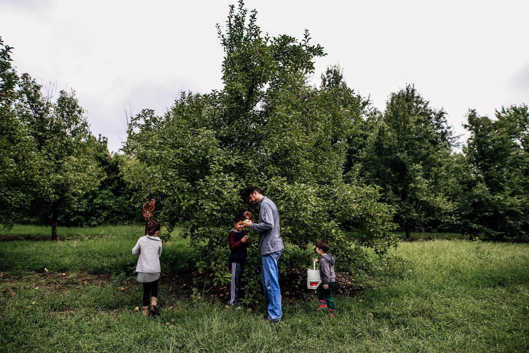 CIder Hill Family Orchard Kansas City Apple Picking Family Documentary Storytelling Photography Fall