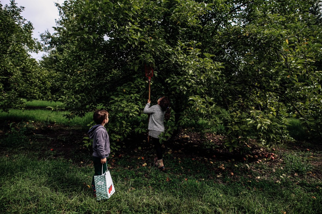 CIder Hill Family Orchard Kansas City Apple Picking Family Documentary Storytelling Photography Fall